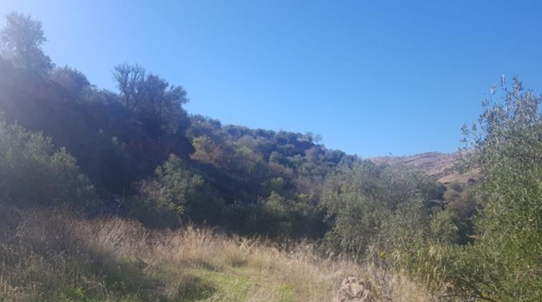 Granada - Ugíjar - 4560m2