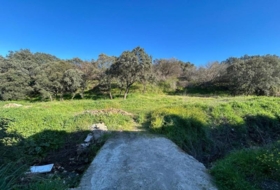 Plasencia 1400&nbsp;m² 