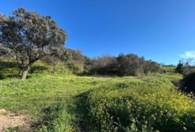 Plasencia 1400&nbsp;m² 