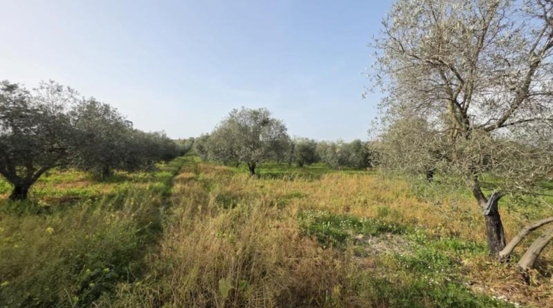 Huelva - Huelva - 7600m2
