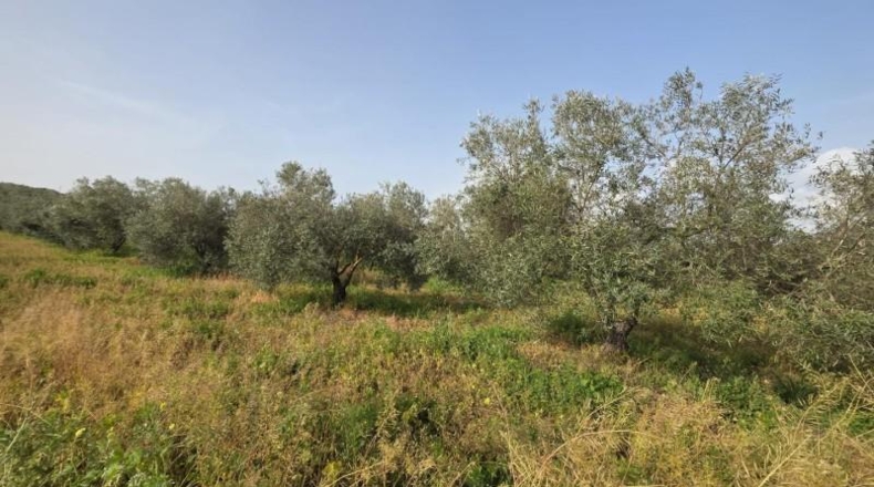 Huelva - Huelva - 7600m2