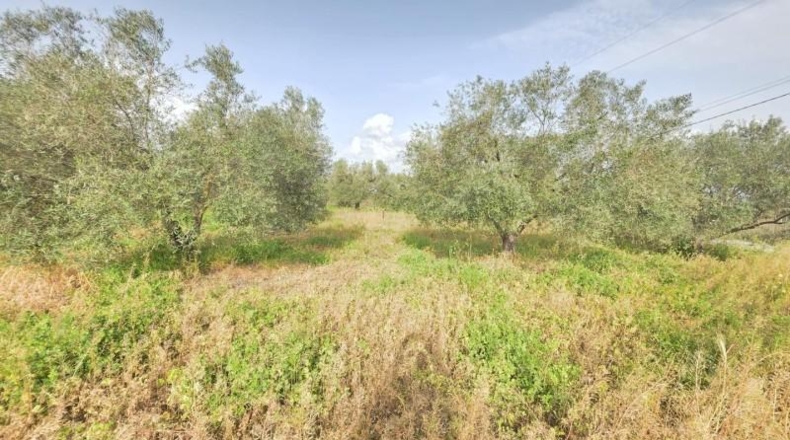 Huelva - Huelva - 7600m2