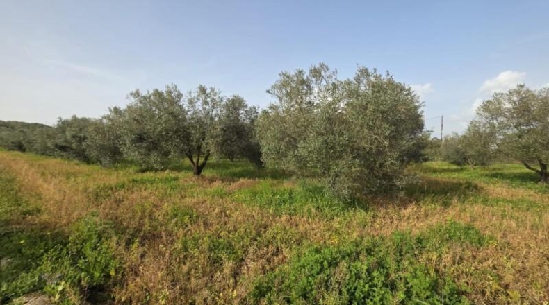 Huelva - Huelva - 7600m2