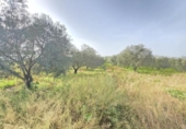 Non-developable land for sale on España, Huelva, ref: TR394722 photo