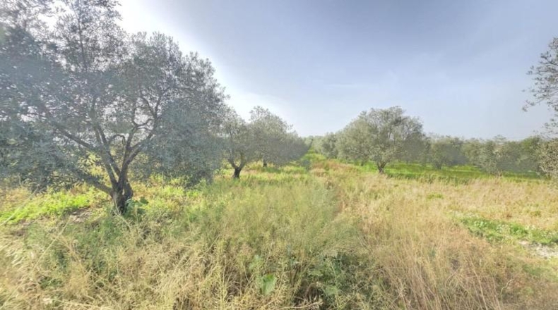 Huelva - Huelva - 7600m2
