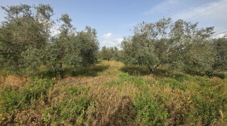 Huelva - Huelva - 7600m2