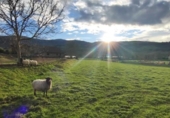 Sòl urbà en venda a la España, Santiurde de Toranzo, ref.: TR394719 foto