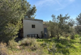 Elche 3000&nbsp;m²