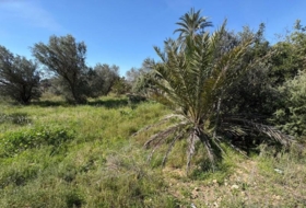 Elche 3000&nbsp;m²