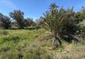 Chalet independiente con terreno en venta en la España, Elche, ref: TR400670 foto