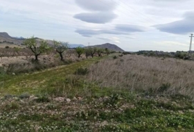 el Fondó de les Neus 11603&nbsp;m² 