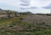 Земля на продажу у города Hondón de las Nieves Фото