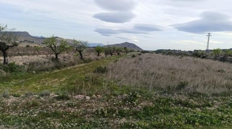 Alicante - Hondón de las Nieves - 11603m2