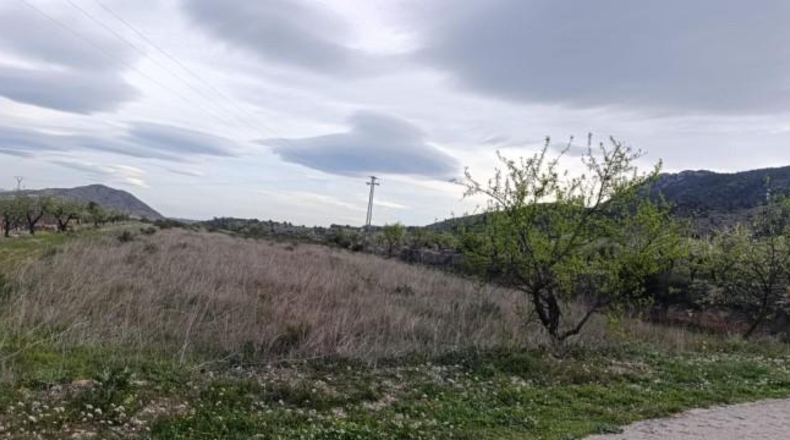 Alicante - Hondón de las Nieves - 11603m2