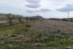 el Fondó de les Neus 11603&nbsp;m² 