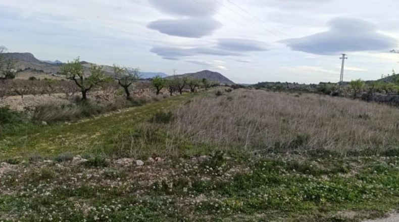 Alicante - Hondón de las Nieves - 11603m2