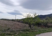 Земля на продажу у города Hondón de las Nieves Фото