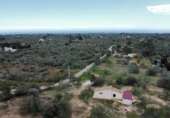Xalet independent amb terreny en venda a la España, l'Ametlla de Mar, ref.: TR400685 foto