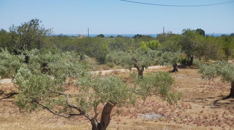 Tarragona - l'Ametlla de Mar - 8583m2