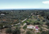 Xalet independent amb terreny en venda a la España, l'Ametlla de Mar, ref.: TR400685 foto