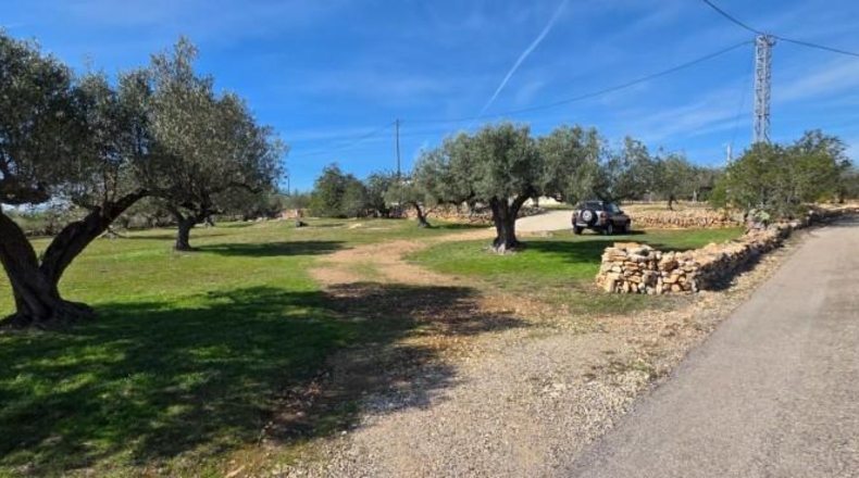 Tarragona - l'Ametlla de Mar - 8583m2
