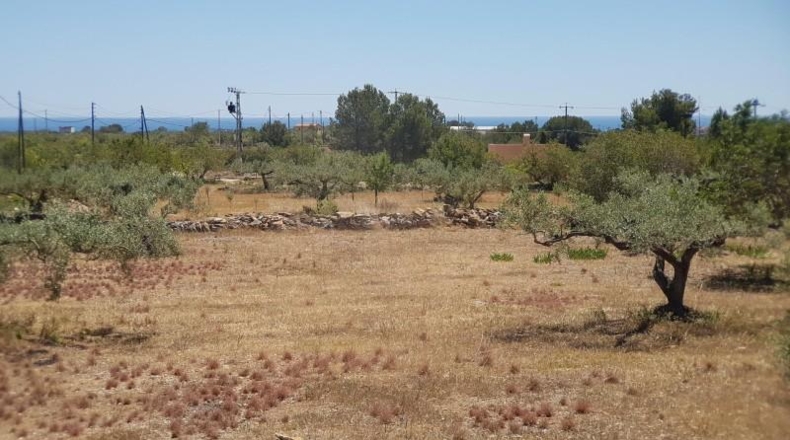 Tarragona - l'Ametlla de Mar - 8583m2