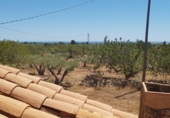 Xalet independent amb terreny en venda a la España, l'Ametlla de Mar, ref.: TR400685 foto