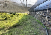 Suelo urbano en venta en la España, Buenavista del Norte, ref: TR394693 foto