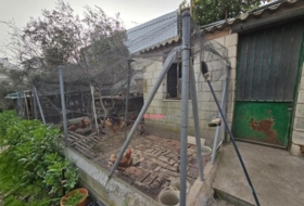 Pozoblanco 1287&nbsp;m²