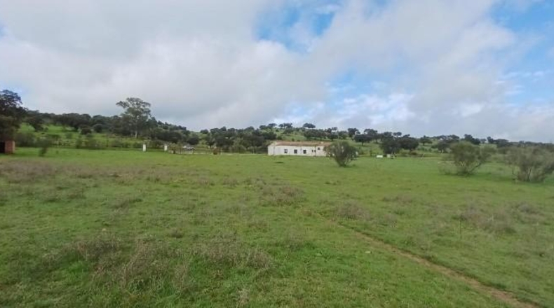 Badajoz - Jerez de los Caballeros - 131800m2