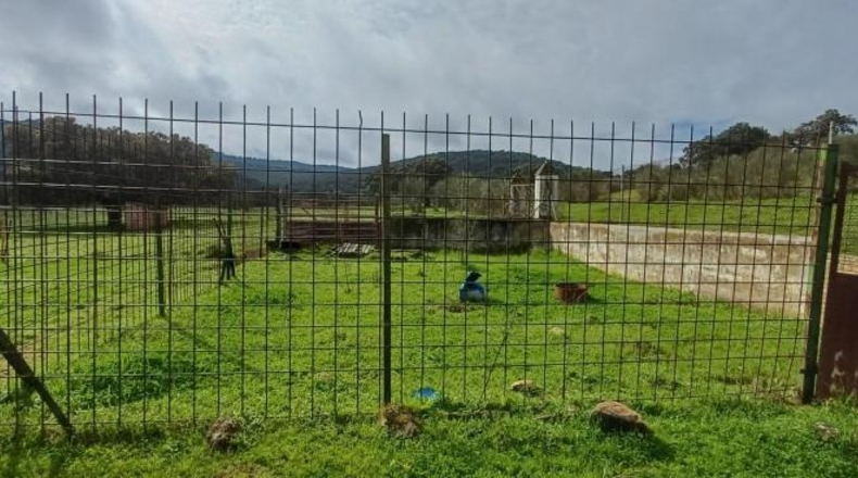 Badajoz - Jerez de los Caballeros - 131800m2