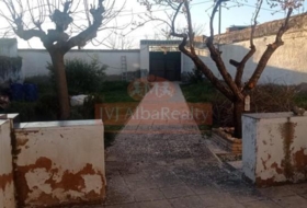 Albacete 803&nbsp;m²