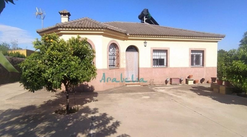 Córdoba - Córdoba - 1500m2