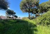 Sòl urbà en venda a la España, Alcalá de Guadaíra, ref.: TR394689 foto