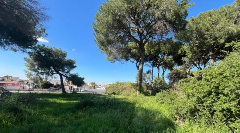 Seville - Alcalá de Guadaíra - 966m2