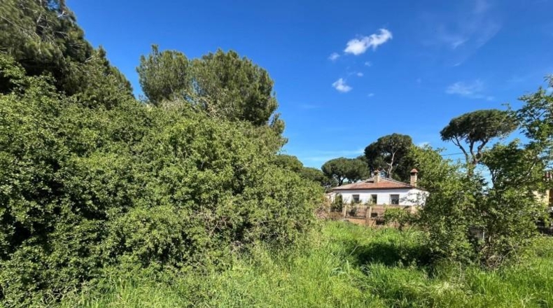 Seville - Alcalá de Guadaíra - 966m2