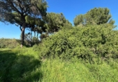 Sòl urbà en venda a la España, Alcalá de Guadaíra, ref.: TR394689 foto