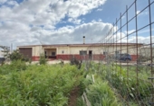 Detached villa with land for sale on España, Punta Umbría, ref: TR400714 photo