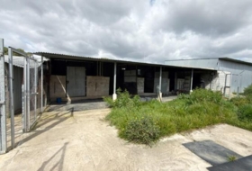 Punta Umbría 3000&nbsp;m²