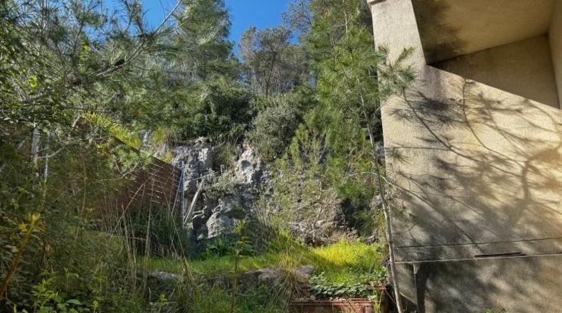 Barcelona - Canyelles - 604m2