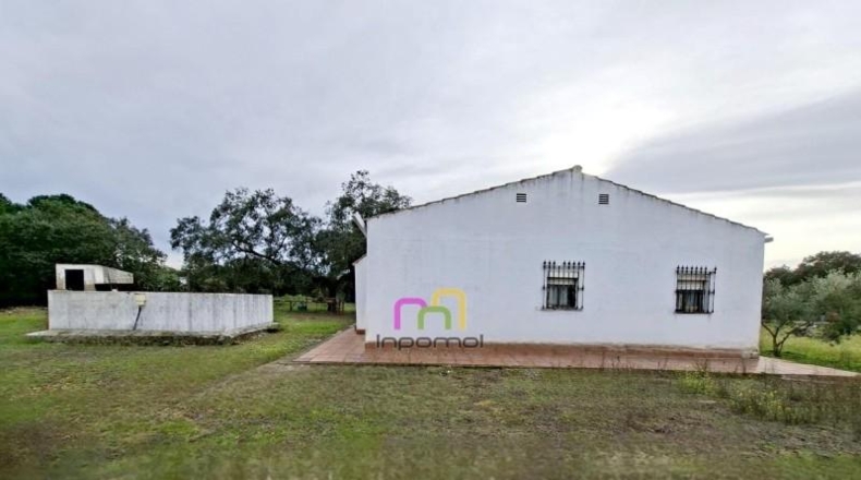 Badajoz - Badajoz - 5000m2