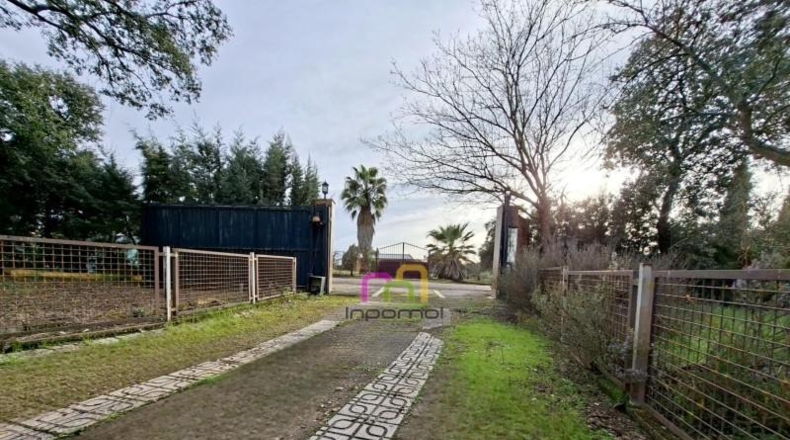 Badajoz - Badajoz - 5000m2