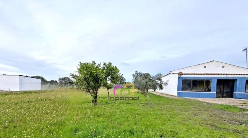 Badajoz - Badajoz - 5000m2