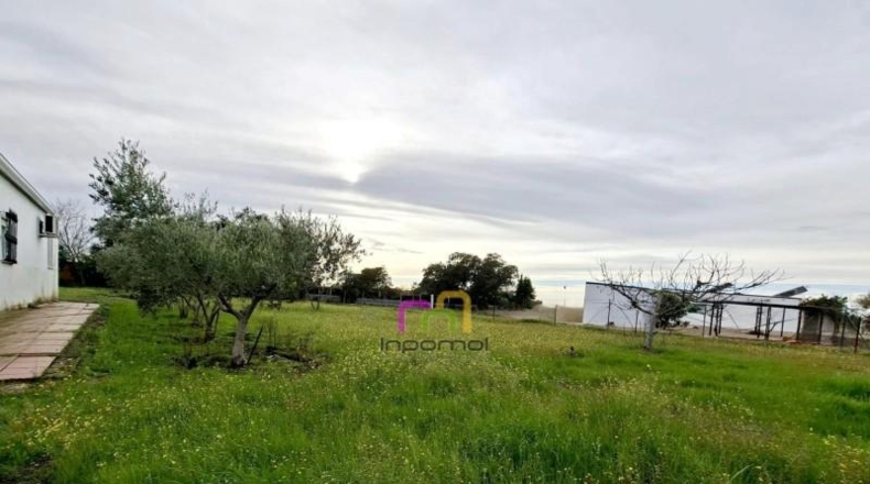 Badajoz - Badajoz - 5000m2