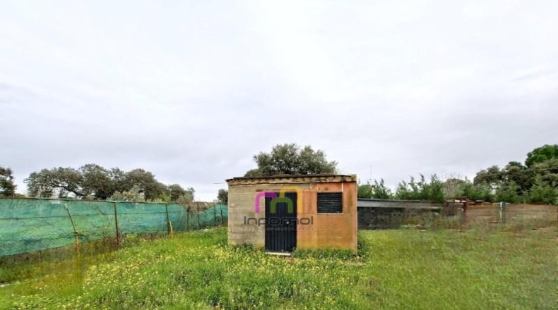 Badajoz - Badajoz - 5000m2