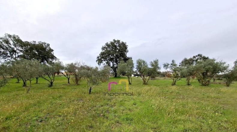 Badajoz - Badajoz - 5000m2