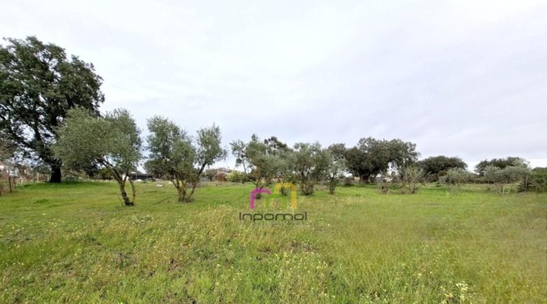 Badajoz - Badajoz - 5000m2