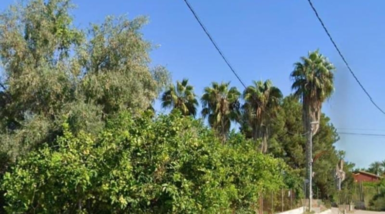 Murcia - Múrcia - 1750m2