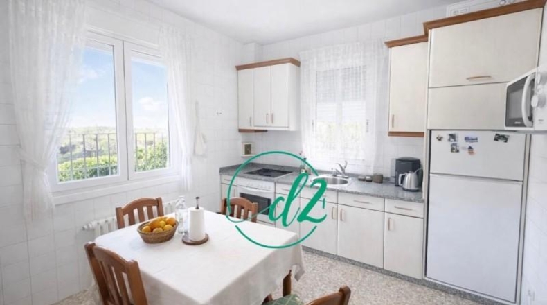 Orense - San Cibrao das Viñas - 1180m2