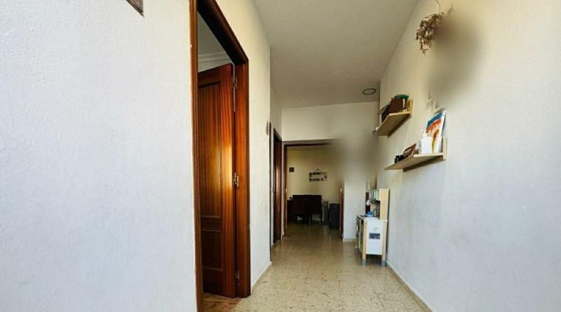 Cádiz - Algeciras - 465m2